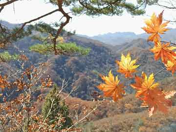 堕胎药巴菲特淡化近期市场波动：属投资常态 “根本不算什么”