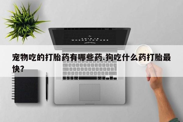 堕胎药宠物吃的打胎药有哪些药.狗吃什么药打胎最快？