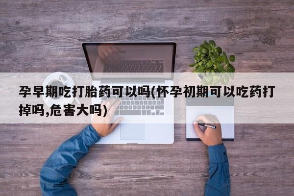 堕胎药孕早期吃打胎药可以吗(怀孕初期可以吃药打掉吗,危害大吗)