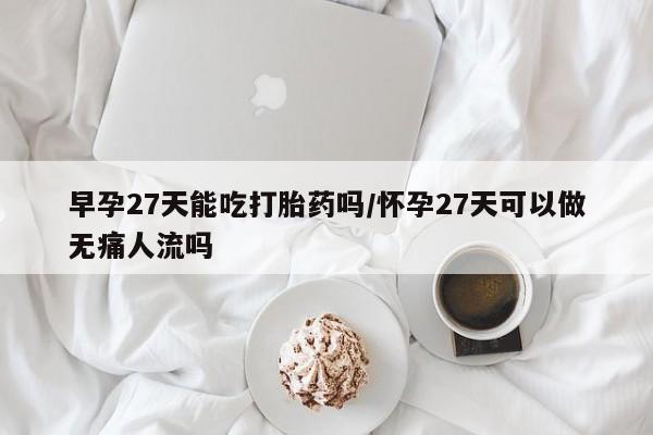 堕胎药早孕27天能吃打胎药吗/怀孕27天可以做无痛人流吗