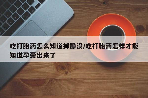 堕胎药吃打胎药怎么知道掉静没/吃打胎药怎样才能知道孕囊出来了