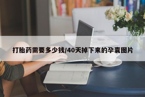 堕胎药打胎药需要多少钱/40天掉下来的孕囊图片