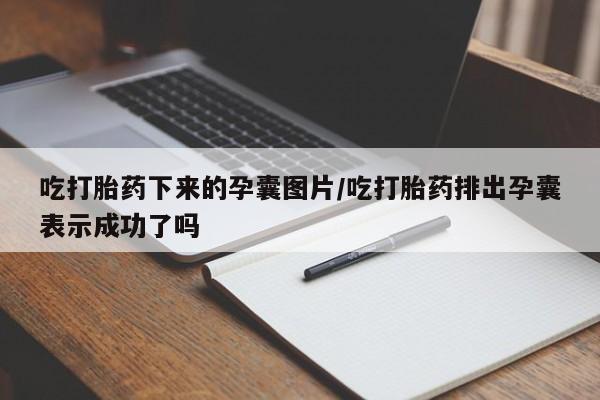 堕胎药吃打胎药下来的孕囊图片/吃打胎药排出孕囊表示成功了吗